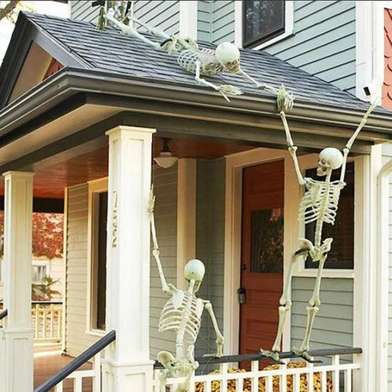 Posable Skeletons