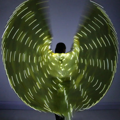 LED Wings