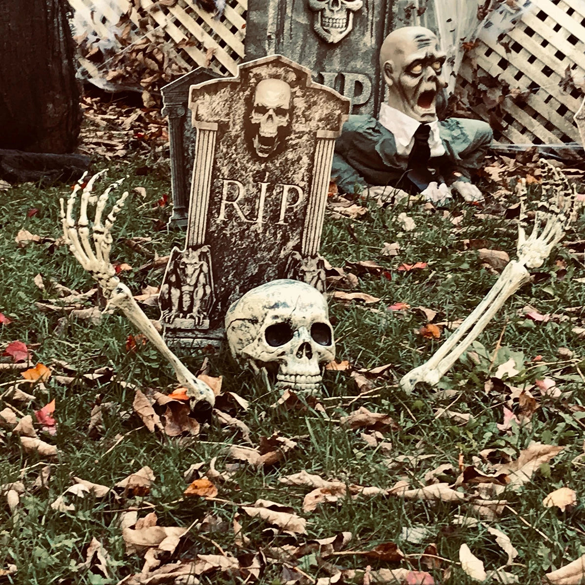 Skeleton Bone Yard