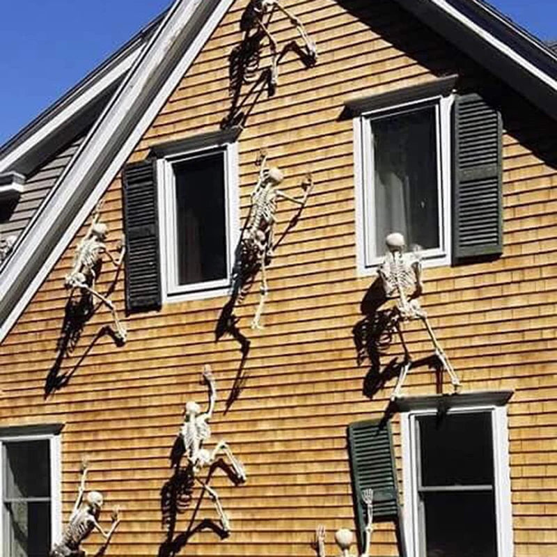 Posable Skeletons