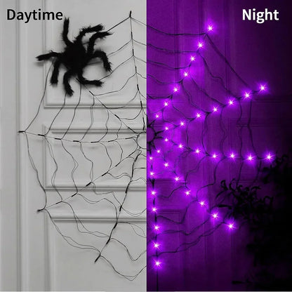 Spider Web Lights