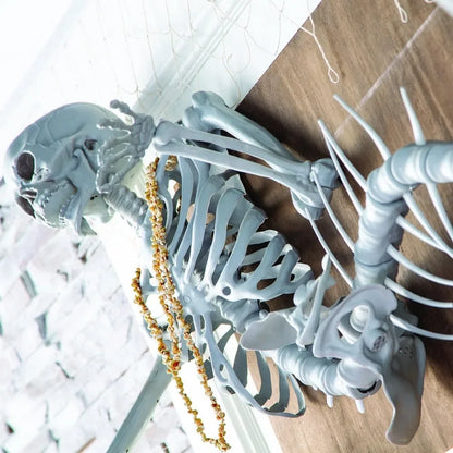 Life-Size Mermaid Skeleton