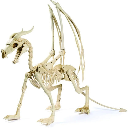 White Winged Dragon Skeleton